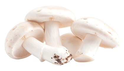 Close-up of three fresh, white mushrooms, showcasing their delicate textures and natural details against a plain white background.