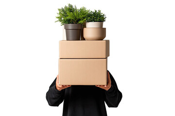 Person holding boxes with potted plants