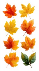 Fototapeta premium Colorful autumn leaves displayed in a vertical arrangement celebrating seasonal change and nature's beauty