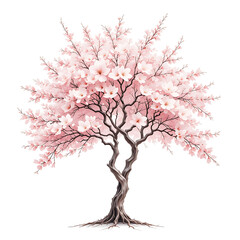 Obraz premium Watercolor illustration of a blossoming pink sakura tree on white