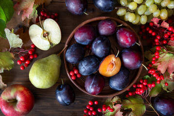 Delicious ripe fruits and berries with leaves on a wooden table. Plums, apples, pears, grapes and viburnum berries.