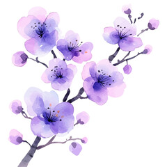 Naklejka premium Spring Blossoms, watercolor clipart vector, isolated on a white background.