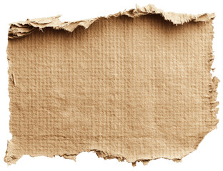 Ripped piece of tan cardboard.  Texture shows vertical lines