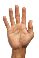 Close-up of a human hand, palm facing up, highlighted with colored lines