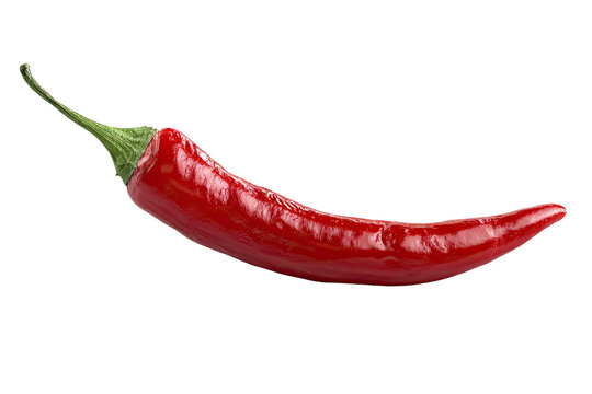 Single red chili pepper, whole view