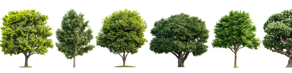 Row of stylized trees in various shades of green