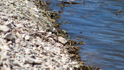water flowing in the river