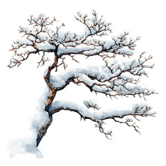 Snow-covered Branch, watercolor clipart vector, isolated on a white background.