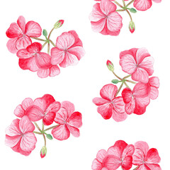 Red geranium flower seamless pattern. Hand-painted watercolor delicate petals and green buds. Perfect for wrapping paper, floral textile, wedding invitations, greeting cards, natural decor projects