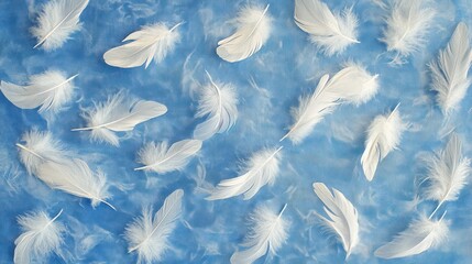 Elegant Composition: White Feathers Scattered on a Gentle, Cloud-Like Blue Canvas