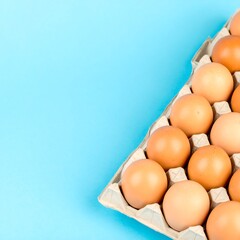 Eggs in carton against a vibrant blue background