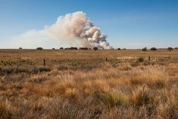 Fototapeta premium Grassland fire in La Pampa Province, Patagonia, Argentina.