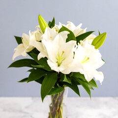 Elegant white lilies in vase