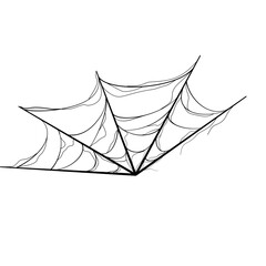 Fototapeta premium spiderwebs halloween ornaments decoration