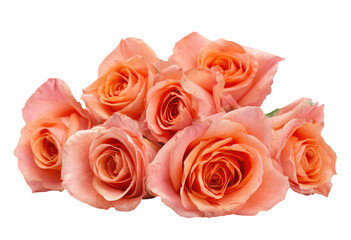 Obraz premium Close-up of a cluster of peach-colored roses