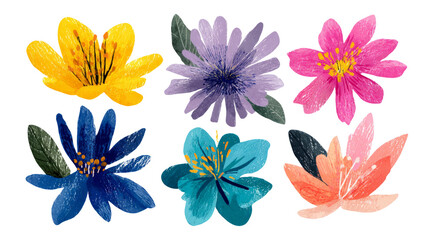 Vibrant Hand-Drawn Flower Collection in Various Colors and Styles on Transparent Background