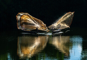  Throwing a fishing net on Nhu Y river, Hue, Vietnam. This is a river flowing through Hue city, where many Hue fishermen live. Photo taken in Hue, Vietnam in September 2022.