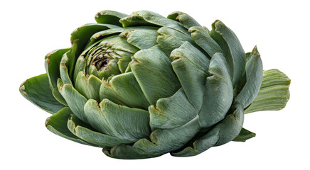Obraz premium Fresh Green Artichoke Isolated on Transparent Background for Culinary Use