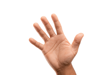A cupped hand gestures outward