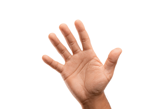 A cupped hand gestures outward