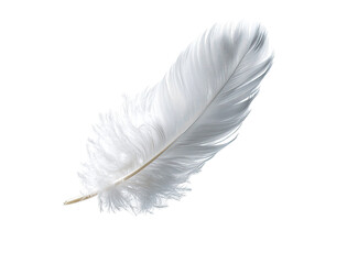 A single, pristine white feather, sharply in focus, against a pure black background.  Its delicate structure, full of soft, fluffy barbs, is clearly visible.  The feather's shaft is a light beige