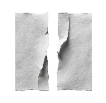 Two rectangular pieces of ripped white paper.  Edges show texture and uneven tearing
