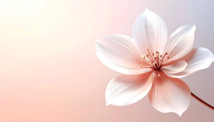 Naklejka premium A delicate, three-dimensional blossom, soft pastel colors, and gentle lighting create a serene and elegant image.