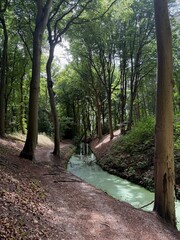Beautiful green trees and canal in park