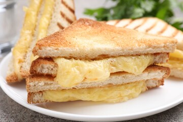 Tasty sandwiches with melted cheese and parsley on grey table, closeup