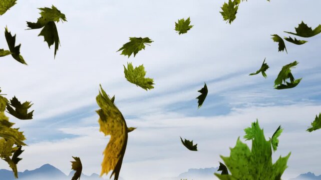 Gusty wind lifting maple leaves swirling and tumbling across sky above mountains conveying autumn