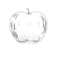 Illustration of an apple