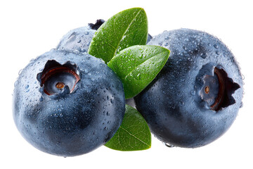 Close-up of fresh blueberries with leaves (6)