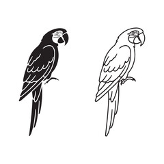 Parrot outline with transparent background
