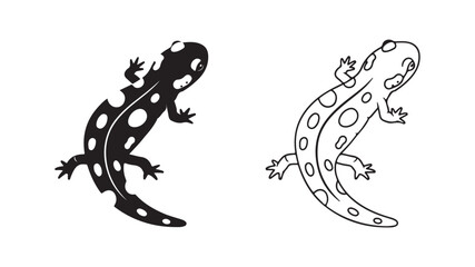 Spotted salamander outline and silhouette