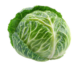 Close-up of a fresh, whole head of cabbage