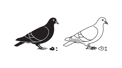 Pigeon bird standing with seeds with transparent background