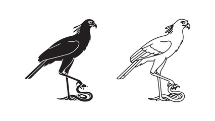 Secretarybird with snake prey, black and white outline