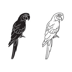 Parrot outline with transparent background