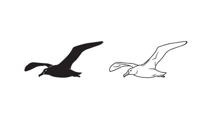 Flying seabirds in black and white with transparent background