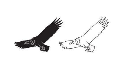 Flying vulture outline with transparent background