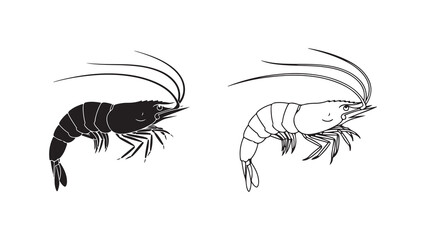 Shrimp outline icons with transparent background