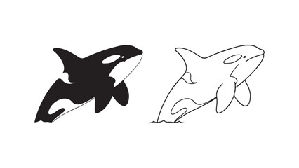 Orca whale outline and silhouette with transparent background