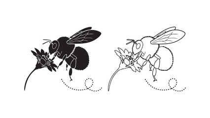 Bee on flower with transparent background