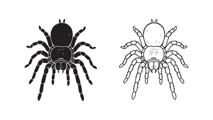 Spider outline and silhouette with transparent background