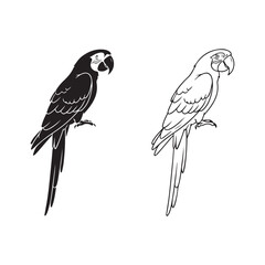 Parrot outline sketch with transparent background