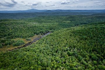 Aerial view of Pisgah State Park, New Hampshire in late summer