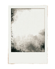 A faded, grainy instant photo frame.  Abstract,  grey-toned image within