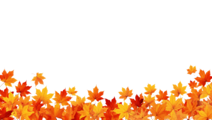 Autumn Leaves Delight A Vibrant Cascade of Fall Foliage on White Background