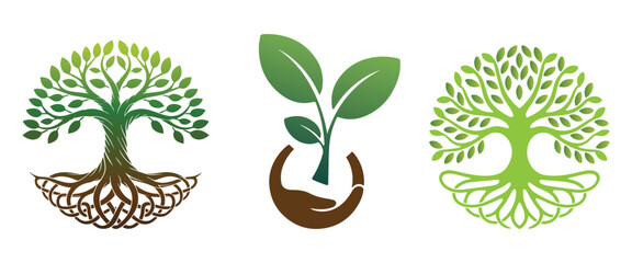 Three stylized trees with intricate root systems and a seedling cradled in hands symbolizing growth nature and life