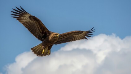 Fototapeta premium A large bird soaring through the sky with its wings fully extended, showcasing its impressive wingspan generative ai